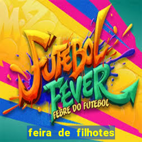 feira de filhotes porto alegre